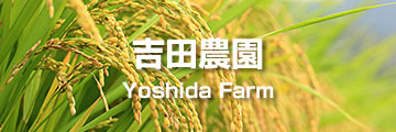 吉田農園 Yoshida Farm
