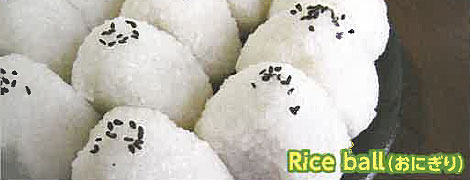 Rice Ball